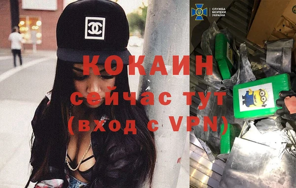 прущие грибы Россошь