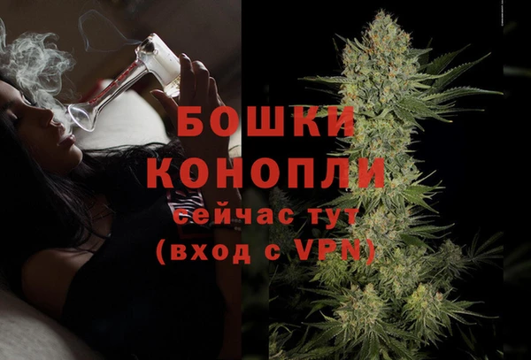 прущие грибы Россошь