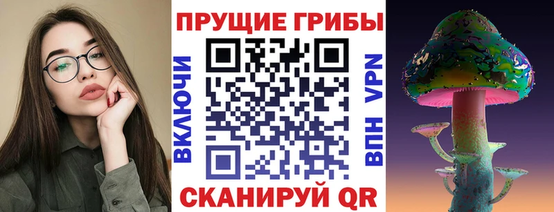 Галлюциногенные грибы Cubensis  продажа наркотиков  Дмитровск 
