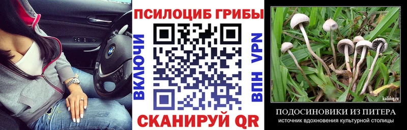 Псилоцибиновые грибы прущие грибы Дмитровск